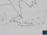 a drawing of a bird on a piece of paper