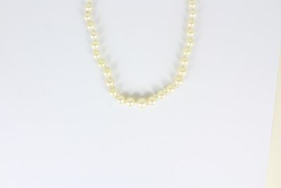 gros plan d'un collier sur un mannequin mannequin