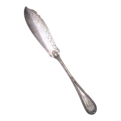 a silver spoon with a long handle on a white surface