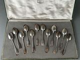 six spoons in a box with a silver handle