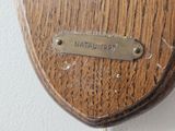 a close up of a wooden plaque on a wall