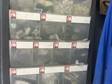 une vitrine contenant de nombreux objets