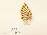 a gold ring with a black and white butterfly on it