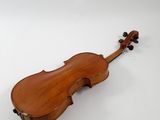 an old violin on a white background