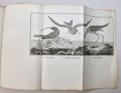 PAGÈS (François) Atlas du cours d'études encyclopédiques. Pa…