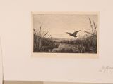 a picture of a bird flying over the water