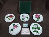 six sous-verres ornés de fleurs, posés sur une surface marron