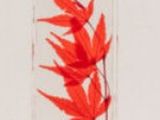 une bouteille contenant une fleur rouge, posée sur une table