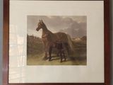 tableau représentant un cheval et un poulain dans un champ, près d'une clôture