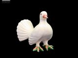 un oiseau blanc debout sur un fond noir