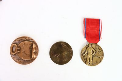 three medals on a white surface with a red, white and blue ribbon
