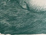 a drawing of a bird sitting on a pillow