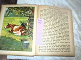an open book with a picture of a cow laying on the grass