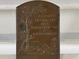 a bronze plaque on a glass shelf with a tree on it