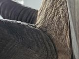 a close up of an elephant ' s trunk with it ' s trunk wrapped in a blanket