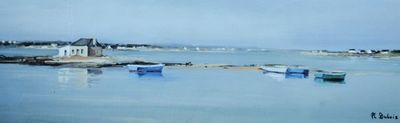 de nombreux bateaux amarrés au bord de l'eau, près du rivage