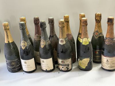 12 bouteilles Champagne divers Vieux