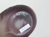 someone is holding a piece of glass with a sticker on it