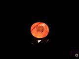 an orange that is glowing in the dark