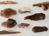 several pieces of fish and other items on a white surface