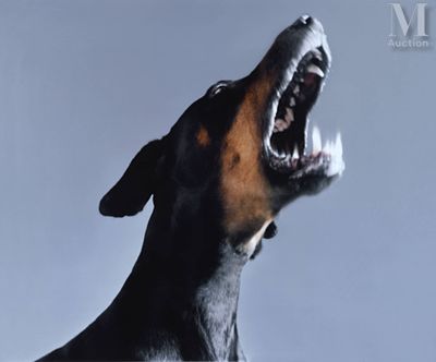un chien noir et marron, la gueule ouverte