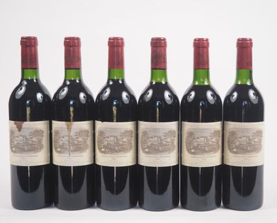 six bouteilles de vin rouge alignées sur une surface blanche