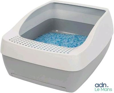 un gros plan sur une gamelle contenant de l'eau bleue
