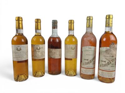plusieurs bouteilles de vin sont alignées sur une surface blanche