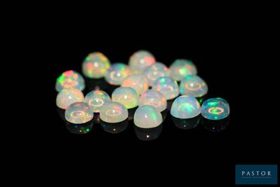quelques oplites blancs sont posés sur une surface noire