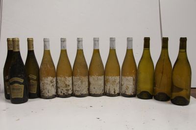 bottles of wine are lined up in a row on a counter
