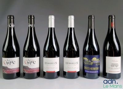 plusieurs bouteilles de vin sont alignées sur une table