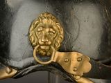 a close up of a helmet with a lion head on it