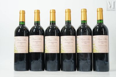 six bouteilles de vin sont alignées sur une surface blanche