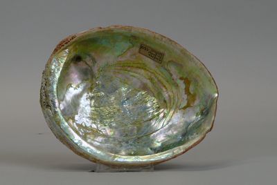a small bowl that has a large shell inside of it