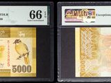Trois types de monnaies différents sont exposés dans une vitrine