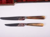 two knives and a case on a table