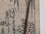 a picture of a picture of a waterlily pond and a palm tree