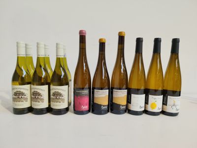 plusieurs bouteilles de vin sont alignées sur une table