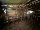 a room with a lot of sheep inside of it