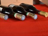 several bottles of wine are lined up on a red table cloth