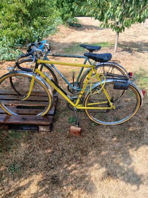 a yellow bicycle parked next to a wooden bench