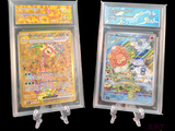 deux types différents de cartes Pokémon exposées