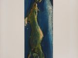 an image of a painting of a woman standing on a surfboard