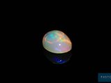 an oplite in the dark with a black background