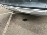 a small black bug that is on the ground next to a car