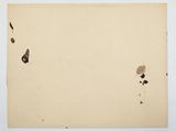an image of a piece of paper with a torn piece of paper on it
