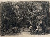 drawing of a stream in a wooded area with rocks and trees