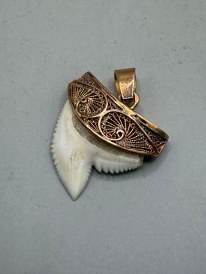a picture of a pendant with a shark tooth in it