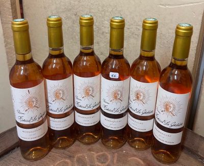 six bouteilles de vin sont alignées sur une table
