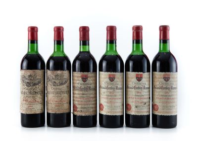 six bouteilles de vin rouge alignées sur une surface blanche